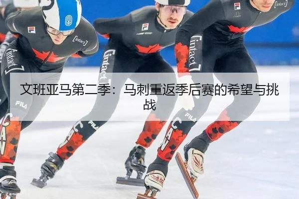 文班亚马第二季：马刺重返季后赛的希望与挑战
